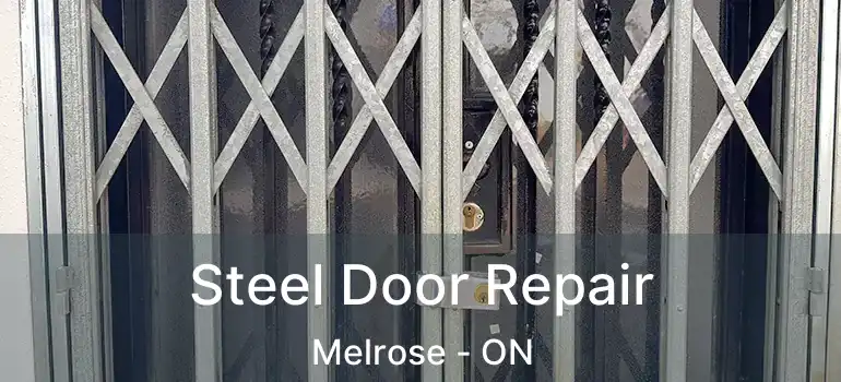  Steel Door Repair Melrose - ON