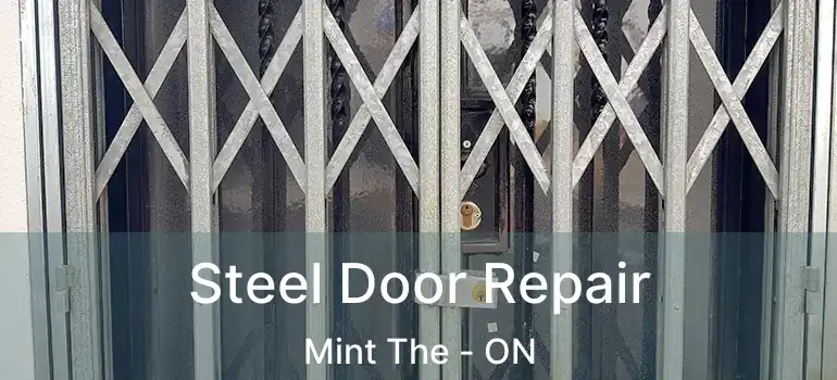  Steel Door Repair Mint The - ON