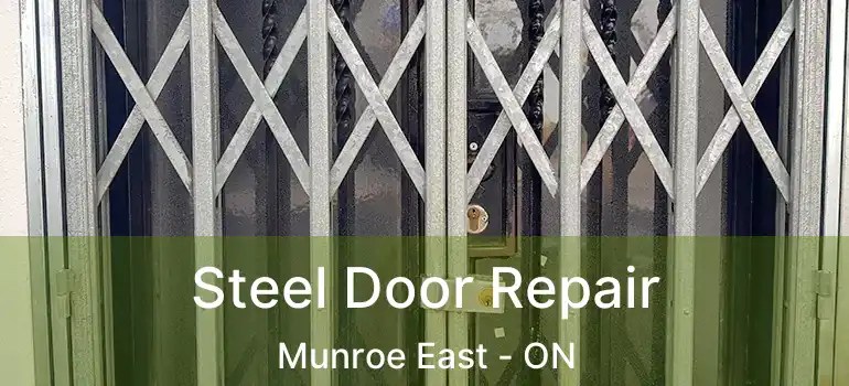  Steel Door Repair Munroe East - ON