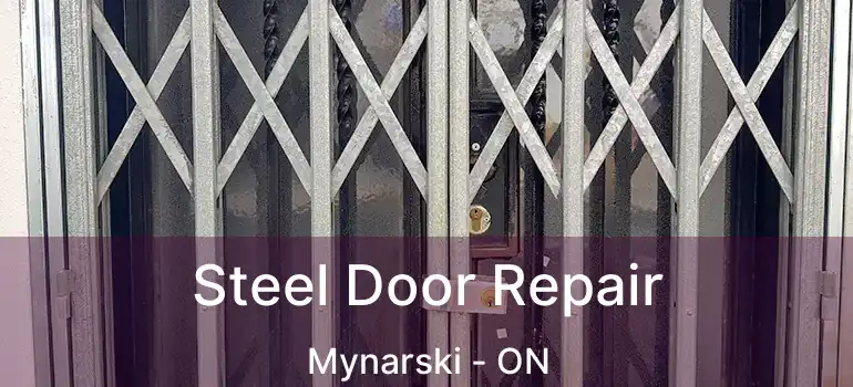  Steel Door Repair Mynarski - ON