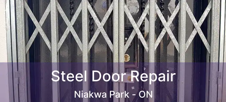  Steel Door Repair Niakwa Park - ON