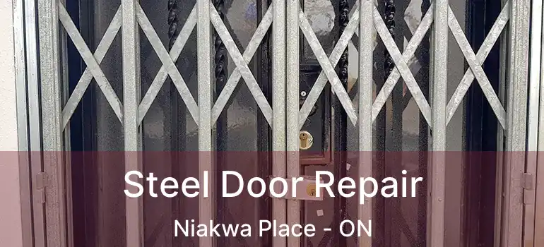  Steel Door Repair Niakwa Place - ON