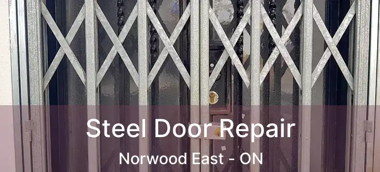  Steel Door Repair Norwood East - ON