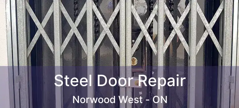  Steel Door Repair Norwood West - ON