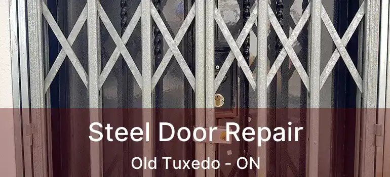  Steel Door Repair Old Tuxedo - ON