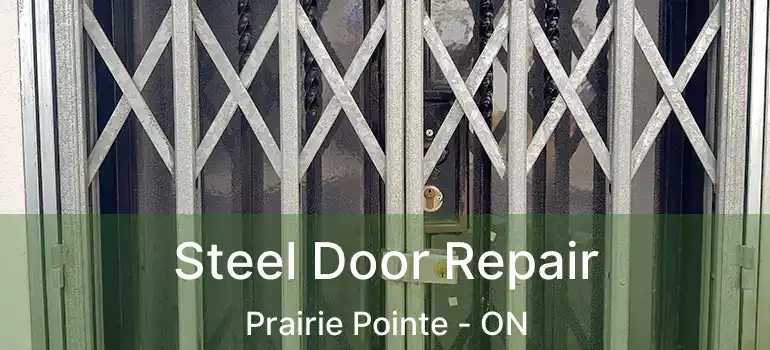  Steel Door Repair Prairie Pointe - ON