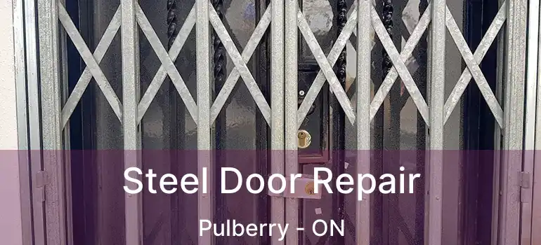  Steel Door Repair Pulberry - ON