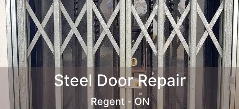  Steel Door Repair Regent - ON