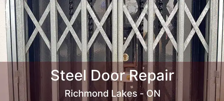  Steel Door Repair Richmond Lakes - ON