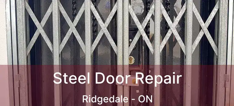  Steel Door Repair Ridgedale - ON