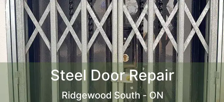  Steel Door Repair Ridgewood South - ON