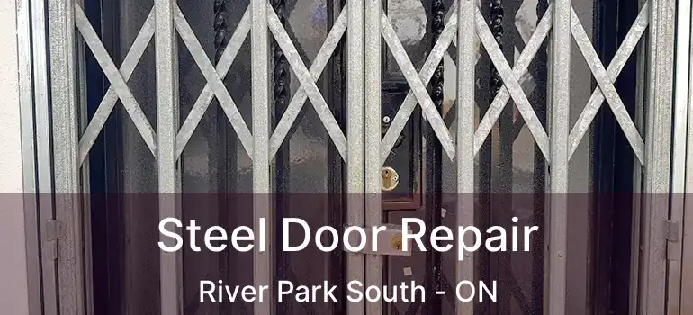  Steel Door Repair River Park South - ON