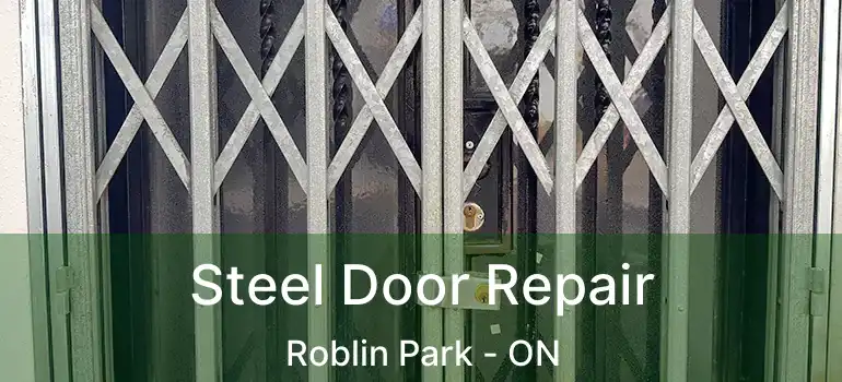  Steel Door Repair Roblin Park - ON