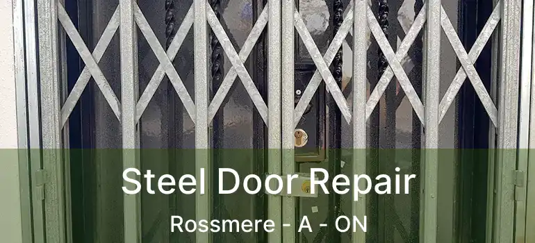  Steel Door Repair Rossmere - A - ON