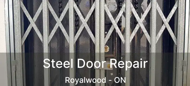  Steel Door Repair Royalwood - ON