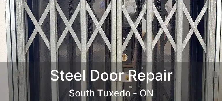 Steel Door Repair South Tuxedo - ON