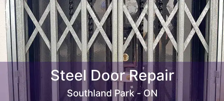  Steel Door Repair Southland Park - ON
