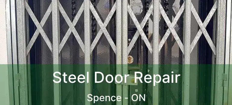  Steel Door Repair Spence - ON