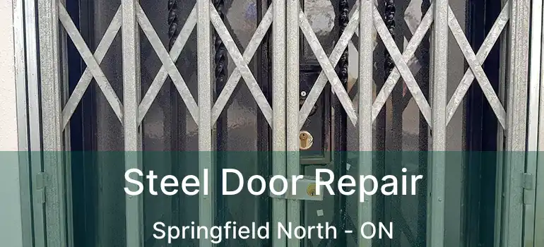  Steel Door Repair Springfield North - ON