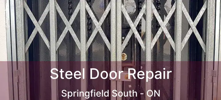  Steel Door Repair Springfield South - ON