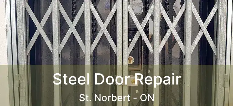  Steel Door Repair St. Norbert - ON