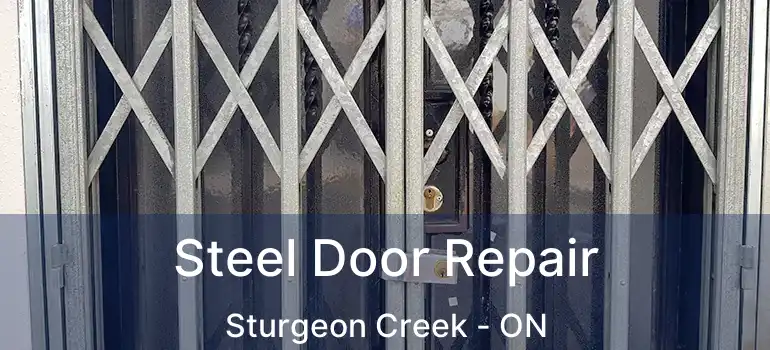  Steel Door Repair Sturgeon Creek - ON