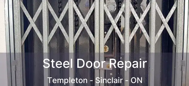  Steel Door Repair Templeton - Sinclair - ON