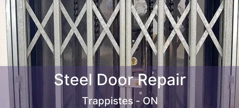  Steel Door Repair Trappistes - ON