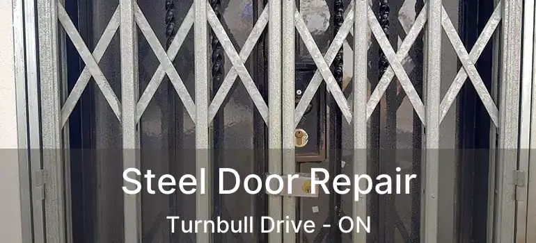  Steel Door Repair Turnbull Drive - ON