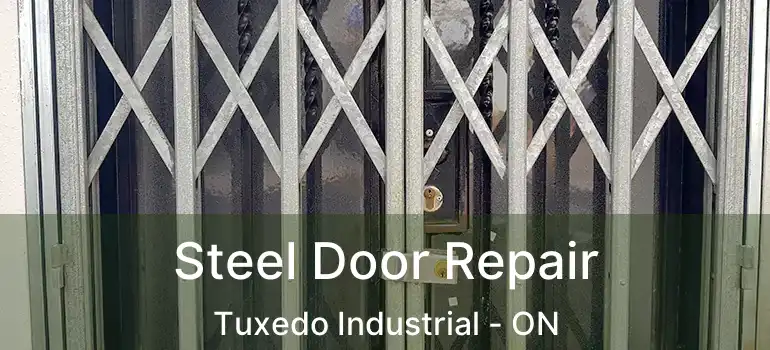  Steel Door Repair Tuxedo Industrial - ON