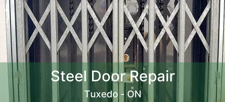  Steel Door Repair Tuxedo - ON