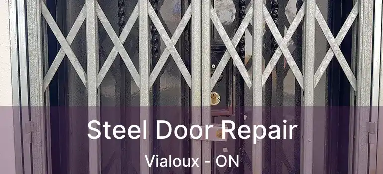  Steel Door Repair Vialoux - ON
