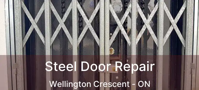 Steel Door Repair Wellington Crescent - ON