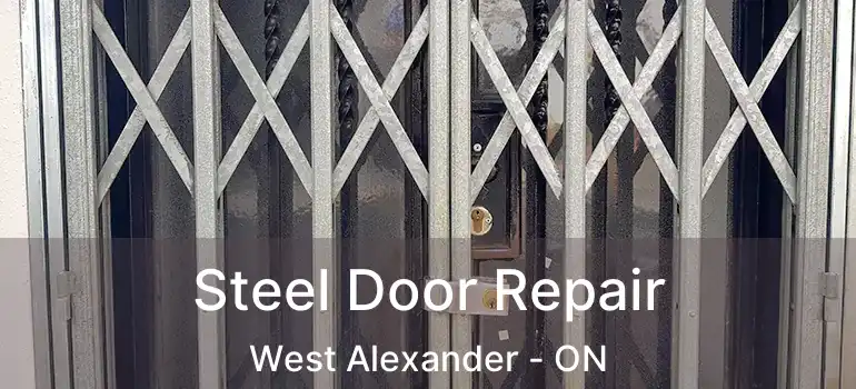  Steel Door Repair West Alexander - ON