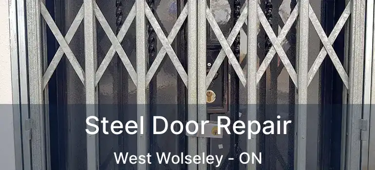  Steel Door Repair West Wolseley - ON