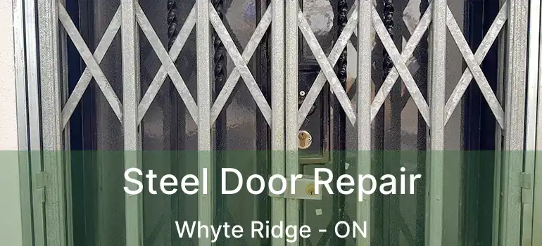  Steel Door Repair Whyte Ridge - ON