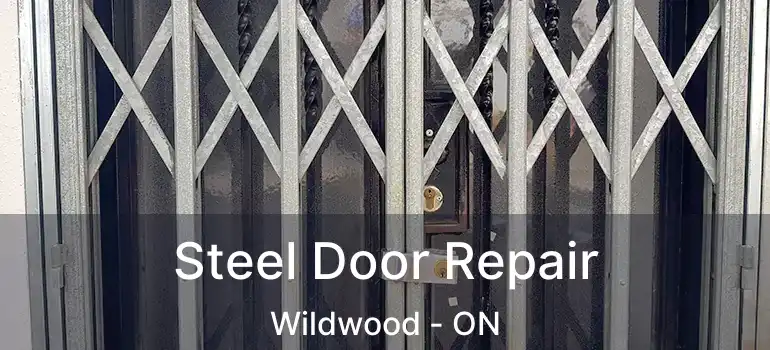  Steel Door Repair Wildwood - ON