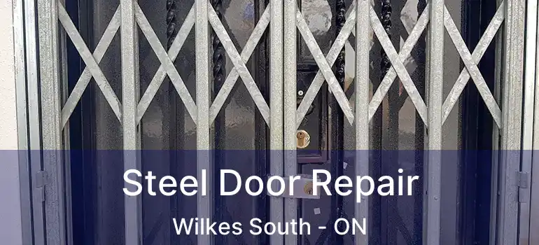  Steel Door Repair Wilkes South - ON