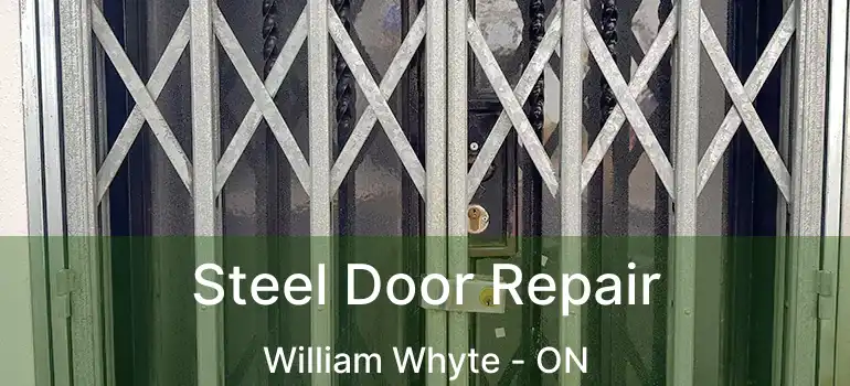  Steel Door Repair William Whyte - ON