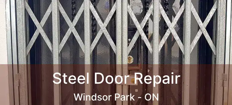 Steel Door Repair Windsor Park - ON
