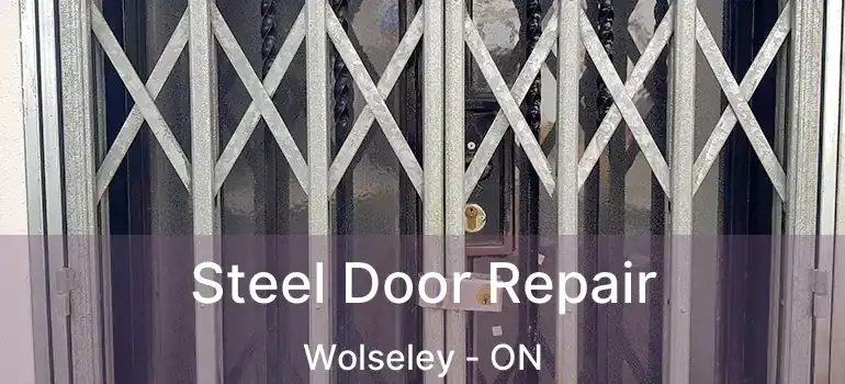  Steel Door Repair Wolseley - ON