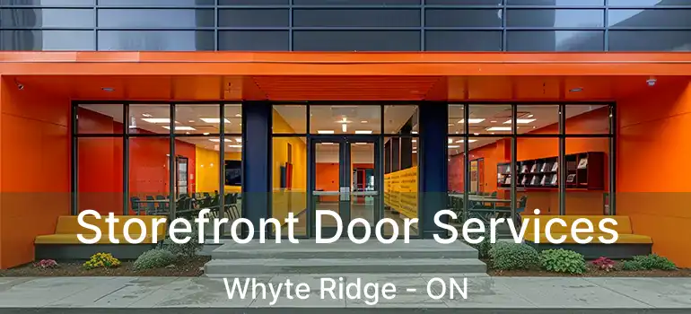  Storefront Door Services Whyte Ridge - ON