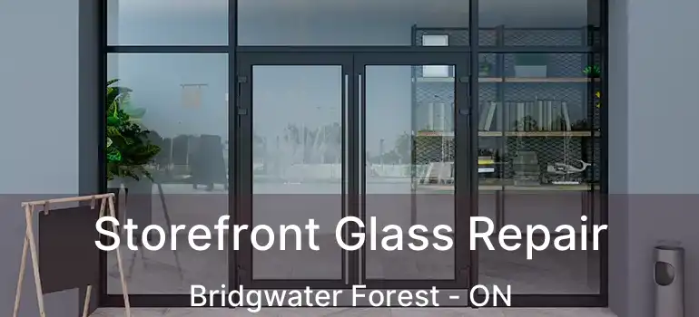  Storefront Glass Repair Bridgwater Forest - ON