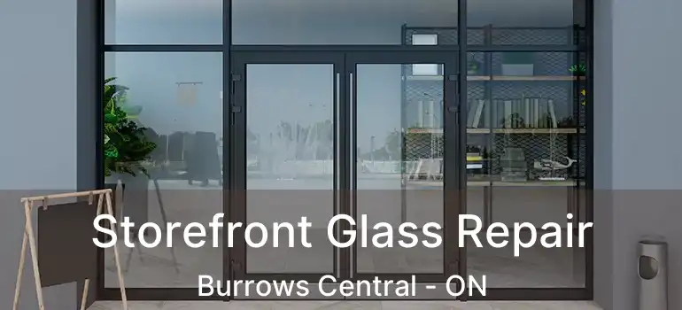  Storefront Glass Repair Burrows Central - ON