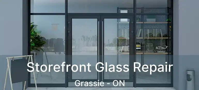  Storefront Glass Repair Grassie - ON