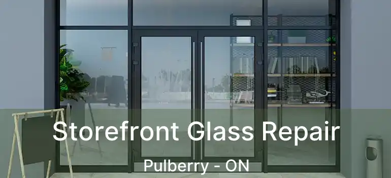  Storefront Glass Repair Pulberry - ON