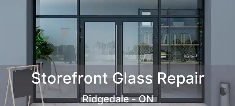  Storefront Glass Repair Ridgedale - ON