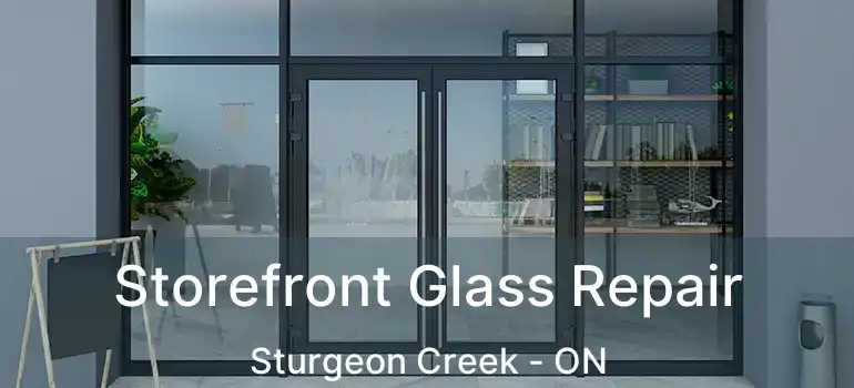  Storefront Glass Repair Sturgeon Creek - ON