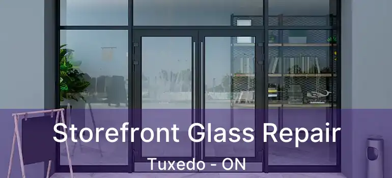  Storefront Glass Repair Tuxedo - ON