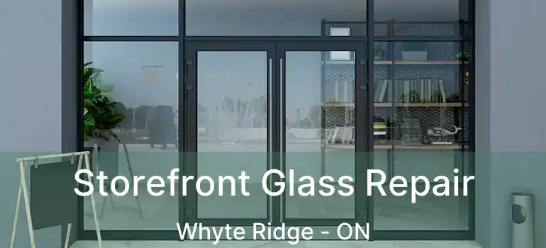  Storefront Glass Repair Whyte Ridge - ON